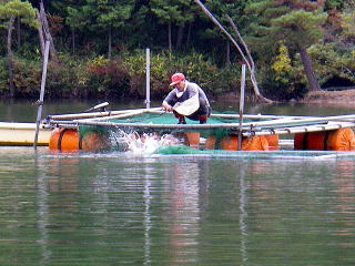 元気よさそうな水しぶき